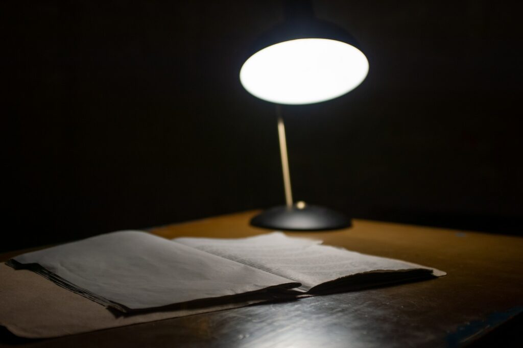 The mystery of missing profits: A guide for new business owners - black table lamp beside book