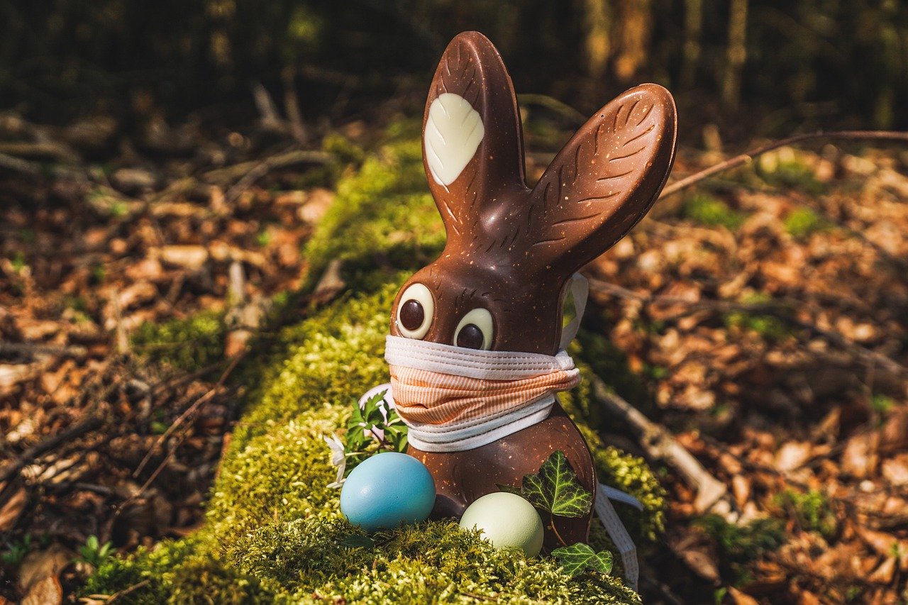 This week's COVID-19 updates - a chocolate Easter bunny with face mask pears over a log in a forest.